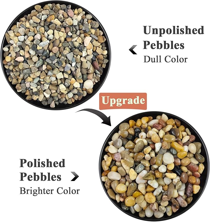 5 lbs Polished Pebbles, 3/8 Inch Pea Gravel for Plants, Decorative Stones River Rocks for Succulent Soil Cover, Cactus, Aquarium, Vase and Outdoor Garden Landscaping-PawvioPets