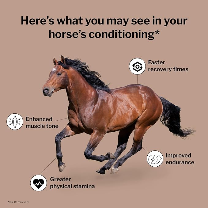 Formula 707 MuscleMx Equine Supplement, 10 lb Bag – Conditioning Support and Muscle Builder for Horses with Lysine, Gamma Oryzanol, Creatine & OKG-PawvioPets