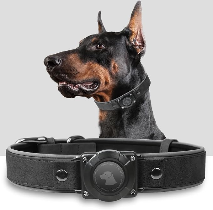 AirTag Dog Collar - Leather Dog Collar with Air Tag Holder | IPX8 Waterproof, Reflective, High - End, Adjustable Soft Padded | Dog GPS Tracker Collars Fit for Medium Large Dogs (Black, M)-PawvioPets