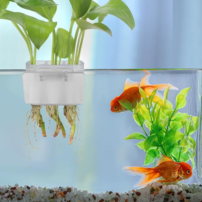 3 Holes Upgraded Aquatic Plant Cup Aquarium Plant Holder for Tank,Hanging Aquarium Plant Holder,Aquarium Aquatic Plant Cultivation,Aquarium Plant Decoration. (White 4PCS)-PawvioPets