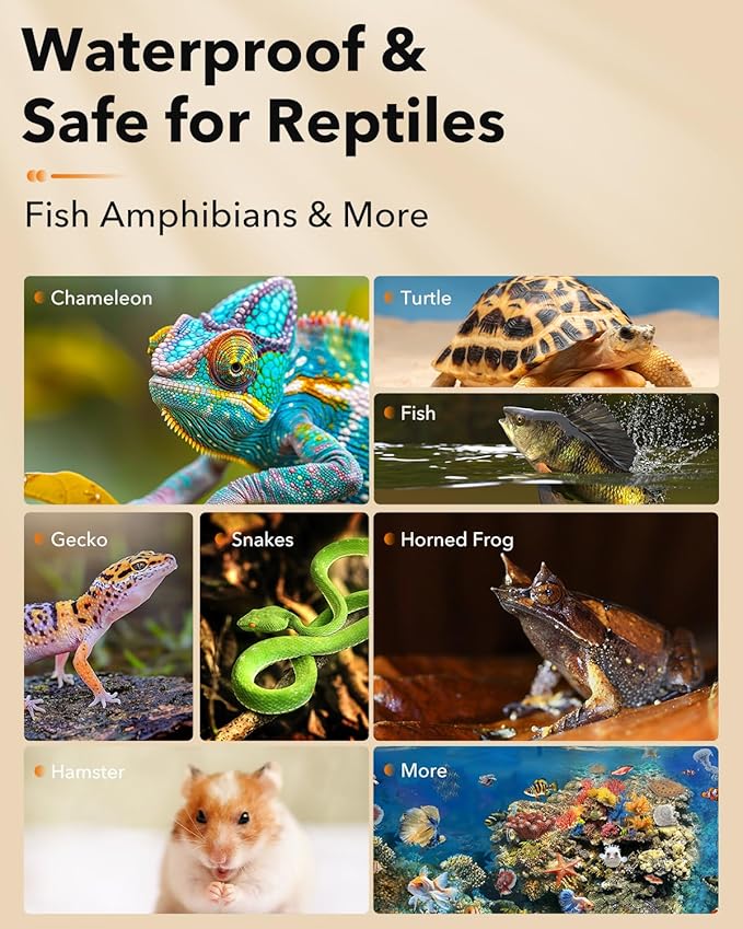 BN-LINK Reptile Heat Pad 6"X8" 8W for 10-20gal Under Tank Terrarium Heating Mat Waterproof for Turtle, Lizard, Frogs, Snake, Hermit Crab-PawvioPets