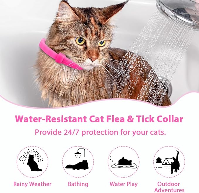 4 Pack Flea and Tick Collar for Cats, Natural Plant Oil Formula Cat Flea Collar Provides 32-Month Protection for Flea & Tick Prevention, Waterproof & Adjustable Cat Flea Treatment for Most Cats-PawvioPets