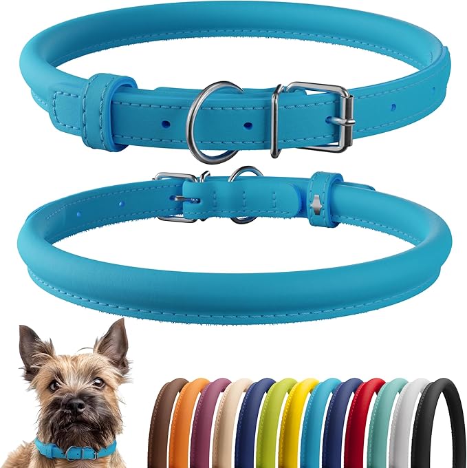 CollarDirect Rolled Leather Dog Collar, Soft Padded Round Puppy Collar, Handmade Genuine Leather Collar Dog Small Large Cat Collars 13 Colors (8-11 Inch, Light Blue Smooth)-PawvioPets