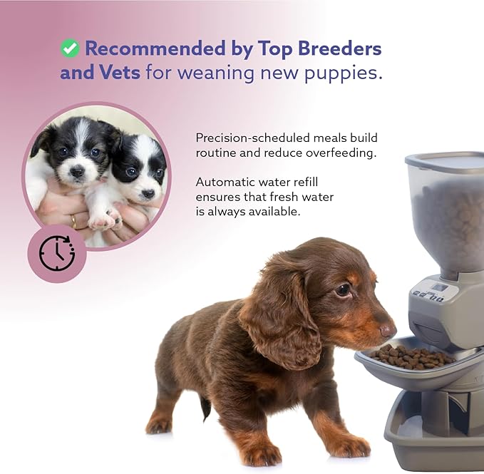 Automatic Dog & Cat Food Feeder with Water Dispenser – Smart Pet Feeder with Portion Control, OLED Display, Anti Jam Design, Battery Operated Dispenser for Small Pets - Taupe-PawvioPets