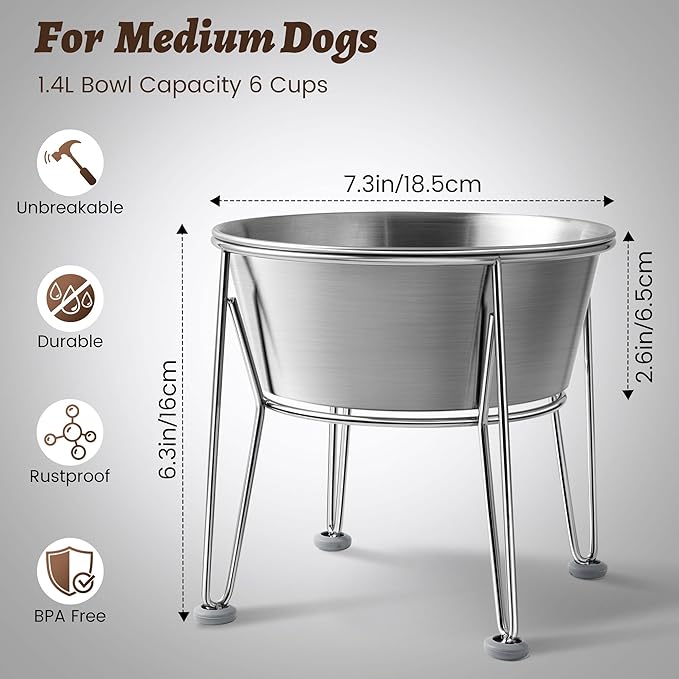 Elevated Dog Bowls for Medium&Small Dogs - Stainless Steel 48oz/6 Cups Raised Feeder with Non-Slip Base, Dual Food & Water Bowls 2-Pack-PawvioPets