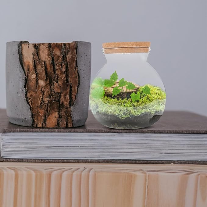 Fish Bowl with LED Light - Small Betta Fish Tank with LED Lighting and Lid Glass Fish Bowl Small Aquarium for DIY Landscape-PawvioPets