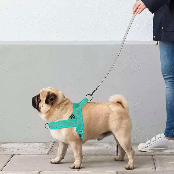 Didog No Pull Dog Harness with Breathable Mesh Padded, Full Reflective & Quick Fit Adjustable Vest Harness, Easy for Training Walking for Small & Medium and Large Dogs (Green, S:Chest 18-22")-PawvioPets