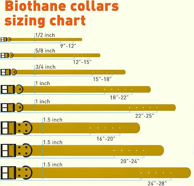 Dogline Biothane Waterproof Dog Collar Strong Coated Nylon Webbing with Black Hardware Odor- Proof for Easy Care Easy to Clean High Performance Fits Small Medium or Large Dogs, Treasure Gold-PawvioPets