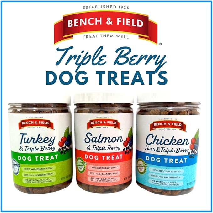 Bench & Field Holistic Natural Salmon & Triple Berry Dog Treats | Crunchy Bone-Shaped Bites | Antioxidant Blend, 10-Ounce Bottle-PawvioPets