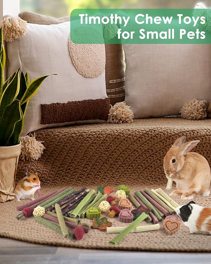 ERKOON 53 Bunny Chew Toys for Rabbits Teeth, Natural Rabbit Toys Apple Wood Sticks, Carrot, Timothy Grass for Small Pets, Hamster, Chinchilla, Guinea Pig Dental Care and Treat Teething(53)-PawvioPets