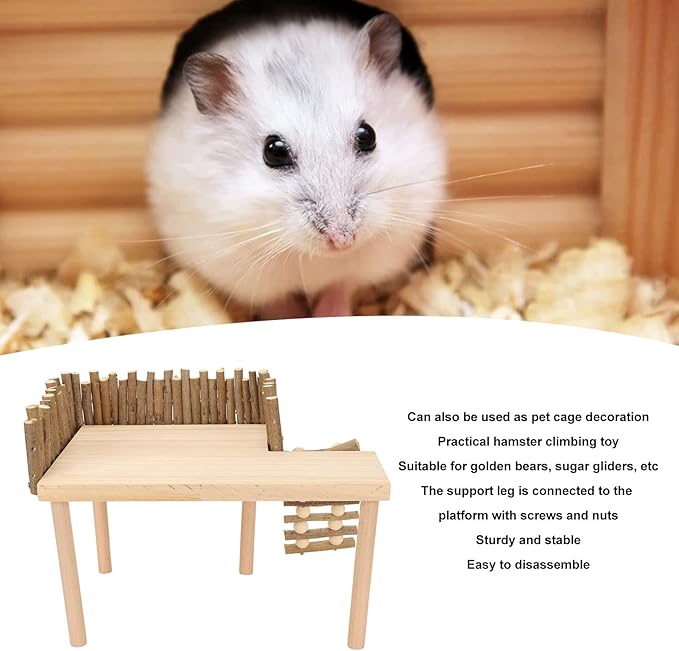 Diydeg Hamster Wooden, 2 Layer Small Hamster Stand Playground with Ladder, Hamster Climbing Toy Cage Accessories for Squirrel Gerbil Chinchilla Parrot Bird Small Animals-PawvioPets