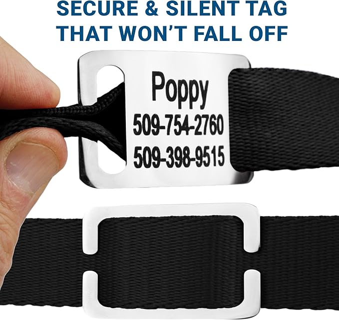 GoTags Personalized Dog Collar with Nameplate, Adjustable Dog Collar with Custom Engraved Slide On Pet ID Tag in Stainless Steel, Silent, No Noise Dog Tag (Light Blue, Large)-PawvioPets