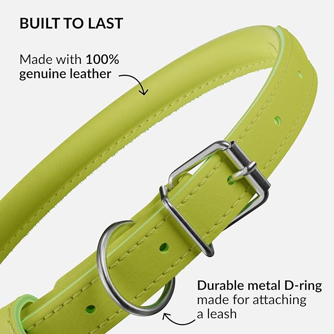 CollarDirect Rolled Leather Dog Collar, Soft Padded Round Puppy Collar, Handmade Genuine Leather Collar Dog Small Large Cat Collars 13 Colors (6-7 Inch, Lime Green Smooth)-PawvioPets