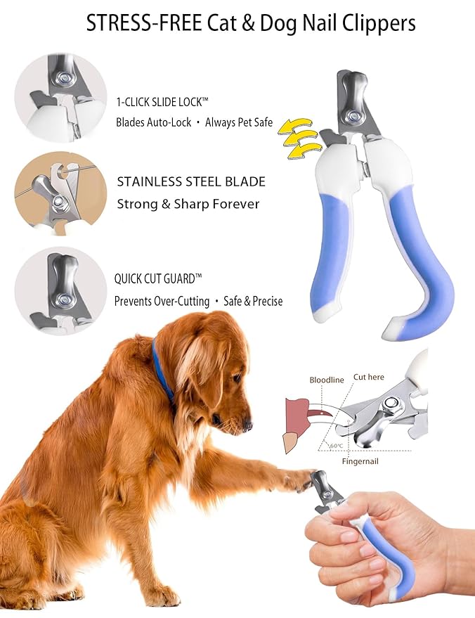 6ps Dog Cat Brush Grooming Kitf, Dog Cat Brushes, Bath Brush, Dematting Rake and Comb, Nail Clipper, Nail File, Flea Comb (Blue 6 Kits)-PawvioPets