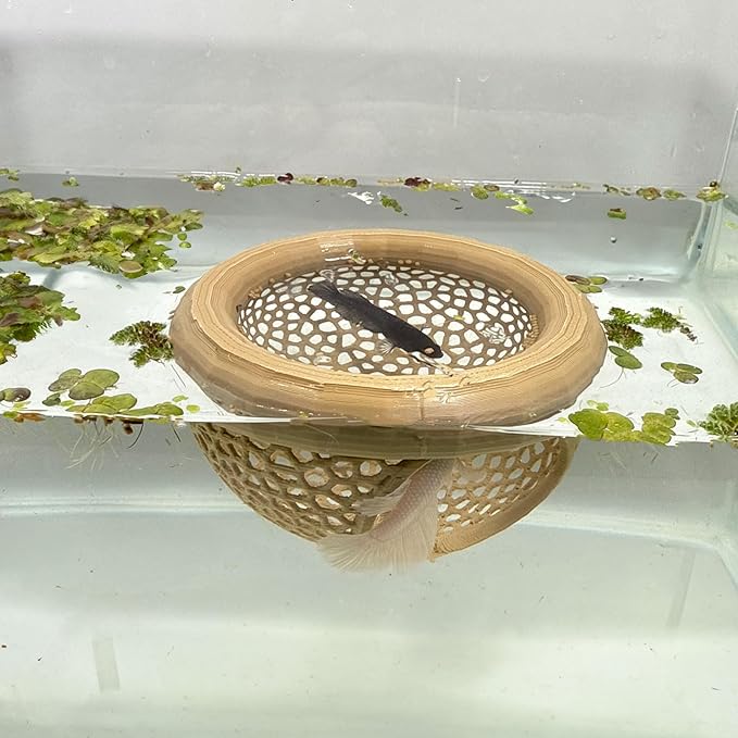 Aquarium Floating Betta Fish Skins, Betta or Shrimp Feeder, Cave and Hammock, Small Fish Feeding Rings, Aquarium Hiding Feeding Decorative Accessories (Wood Color)-PawvioPets