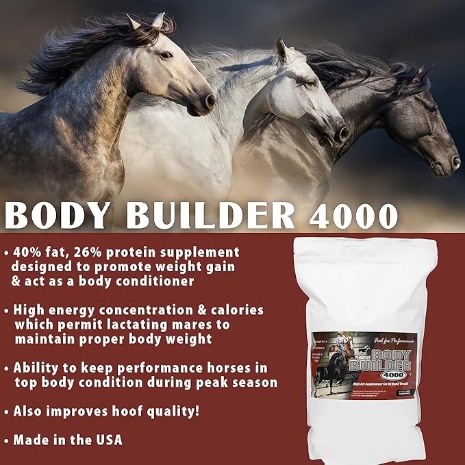 Body Builder 4000, Horse Weight Gain Supplement, High Fat and Energy Horse Weight Builder with Body Conditioning Horse Vitamins, Improves Hoof Quality - 25 LB Bag-PawvioPets