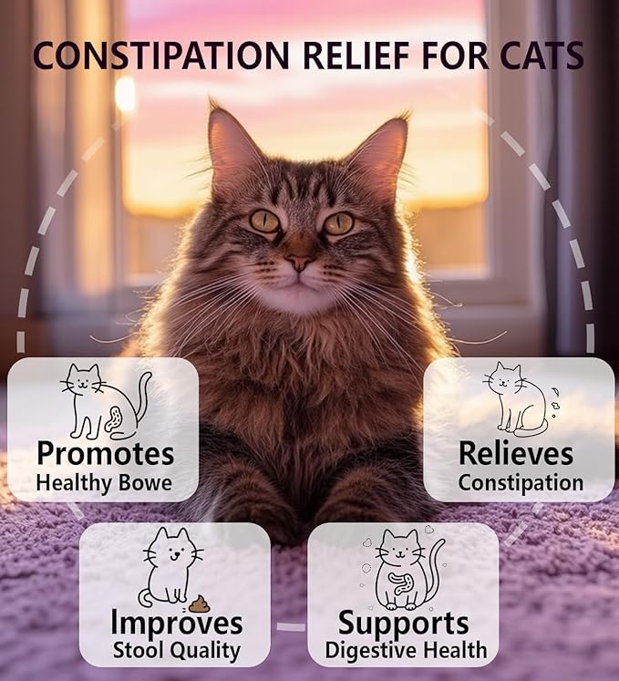 Cat Constipation Relief, Constipation Relief for Cat, Cat Laxative Constipation Relief, 100% Natural Cat Laxative with Probiotics Cat Stool Softener, Promotes Digestive Health - 2 fl oz-PawvioPets