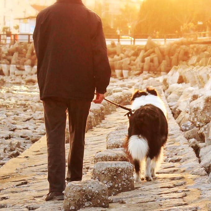 Dog Tie Out Cable,50ft Dog Lead-Heavy Duty Tie Out Cable for for Large Dogs Up to 125lbs-Dog Chain for Yard-Outside Dogs Runner Tether Line-PawvioPets