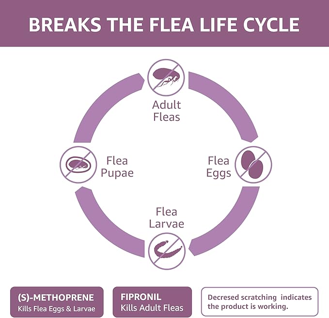 Amazon Basics Flea and Tick Topical Treatment for Large Dogs (45-88 pounds), 3 Count (Previously Solimo)-PawvioPets