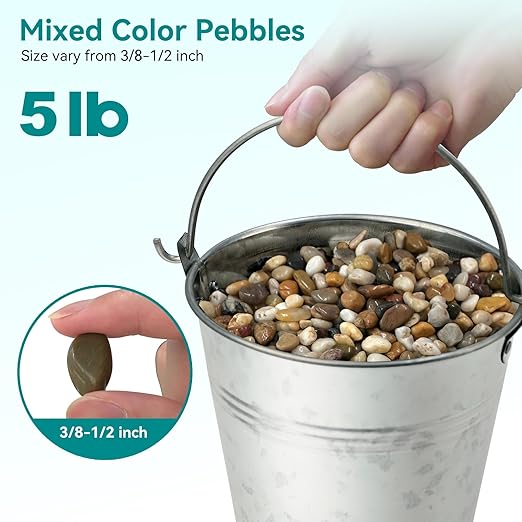 5 lbs Pebbles for Indoor Plants, Vase, Succulent, 3/8" Gravel for Plants, Pots Indoor, Bamboo Rocks for Bamboo Plants, Decorative Small River Rock, Highly Polished-PawvioPets