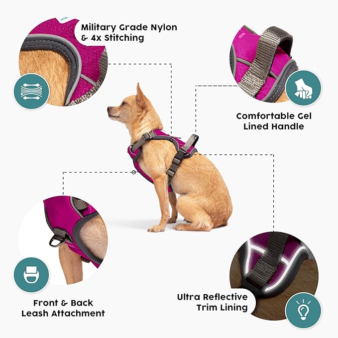 Embark Adventure Dog Harness, Reflective Trim No Pull Dog Harness for Large Dogs - Military Grade Nylon, Front Clip with Gel Lined Handle.-PawvioPets