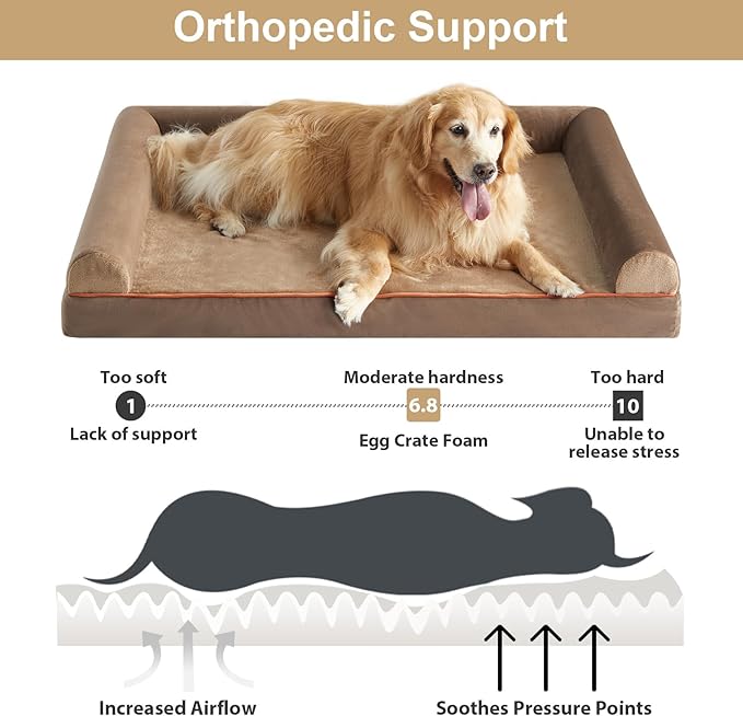 BFPETHOME Washable Large Dog Bed, Big Couch Bed with Removable Washable Cover, Orthopedic Egg-Crate Foam & Waterproof Lining-PawvioPets