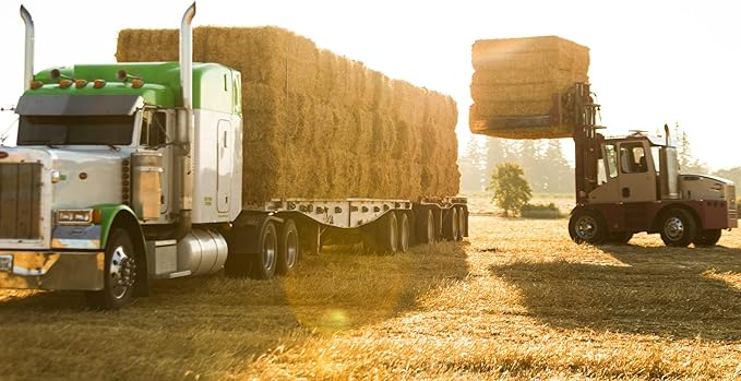 Blue Mountain Hay High-Altitude Hay - Organic Alfalfa, 25lb - High Protein, Fiber & Mineral-Rich - Soft, Leafy, High Leaf Retention - Ideal for Goats, Rabbits, Guinea Pigs & Other Small Animals-PawvioPets