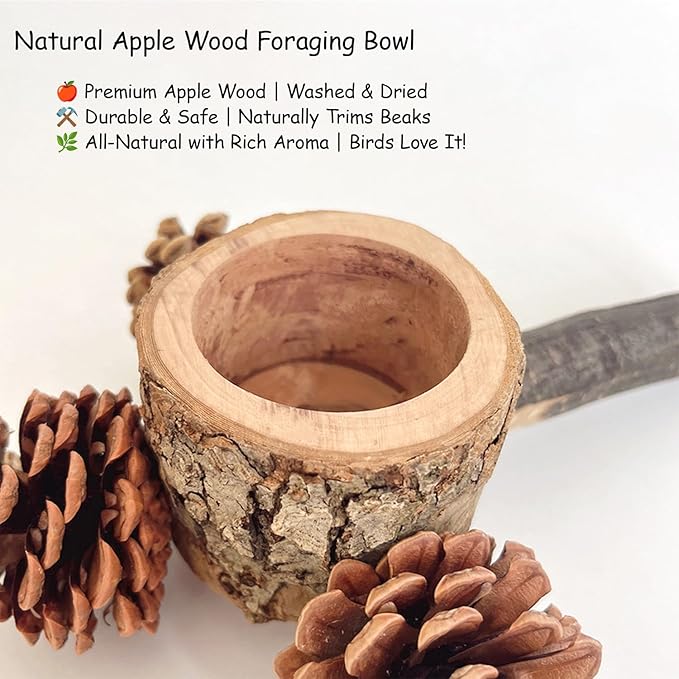 Bird Perch with Safe Bowl Wood & Pinecones - Bird Toys Chew Toys 100% Natural & Durable for Cockatiel, Conure, Budgie, Lovebird, Parakeet - Birdcage Accessory for Foraging & Oral Health-PawvioPets
