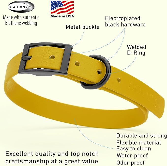 Dogline Biothane Waterproof Dog Collar Strong Coated Nylon Webbing with Black Hardware Odor- Proof for Easy Care Easy to Clean High Performance Fits Small Medium or Large Dogs, Treasure Gold-PawvioPets