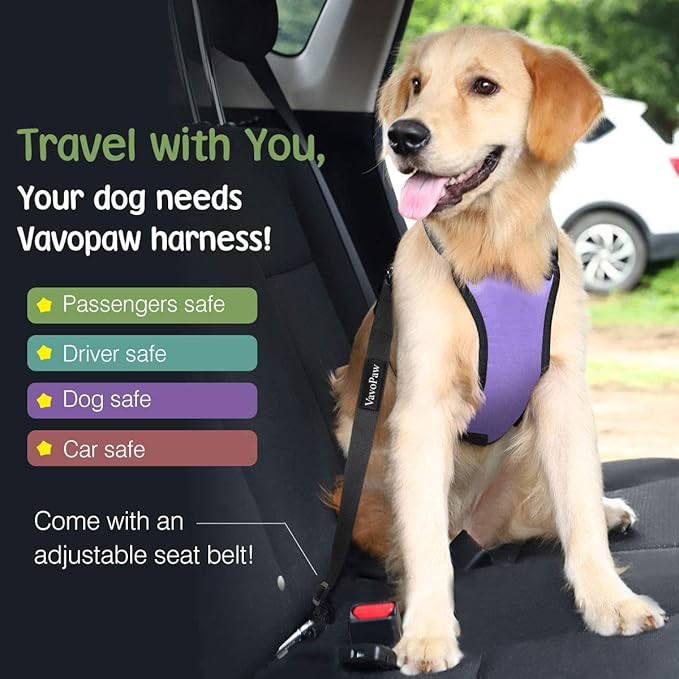 Dog Seat Belt, Safety Vest Dog Car Harness with Adjustable Buckle Dog Seat Belt for Vehicle Nylon Pet Safety Seat Belts Heavy Duty(S, Purple)-PawvioPets