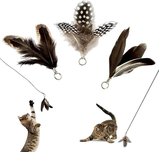 Feather Toys Replacements (3 Pc) - Cat Toys & Kitten Toys for Indoor Kittens, Set of Replacement Feather Attachments Extra Small and Durable, for Cat Wands, Natural and Safe-PawvioPets