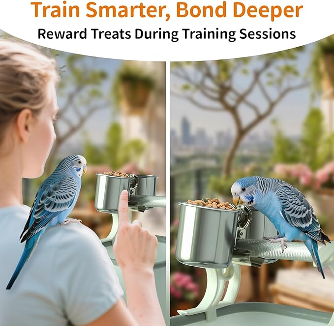 Bird Desktop Training Stand with Detachable Stainless Steel Double Bowls Feeder-Portable Bird Perches Stand with Detachable Base for Parakeets, Lovebirds&Medium-Sized Birds, Parakeet Cage Accessories-PawvioPets