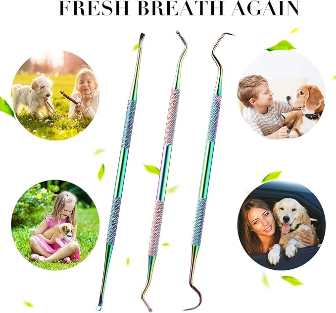 3 Pieces Dog Dental Tooth Scaler and Scraper Stainless Double Headed Tarter Removing Tool Scraper Pet Teeth Cleaning Tools for Dog and Cat (Rainbow Color)-PawvioPets