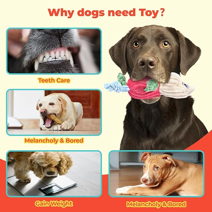 3pcs Dog Squeaky Toys, Plush Stuffed Puppy Chew Toy for Extended Play, Interactive Toys Great Gifts for Small Medium Large Chewer Dogs, Pet Toy Bulk to Keep Them Busy(Forg&Hippo&Pig)-PawvioPets