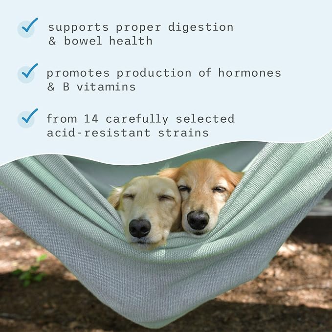 Dr. Mercola, Complete Probiotics, for Cats and Dogs, 3.17 oz (90 g), Supports Immune Function, Digestive Support, Non GMO, Soy Free, Gluten Free-PawvioPets