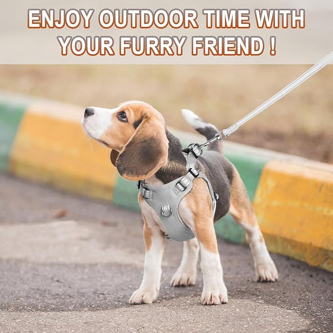 BARKBAY Dog Harness, Reflective Adjustable No Pull Harness, Breathable Soft, Grey, XXS-PawvioPets