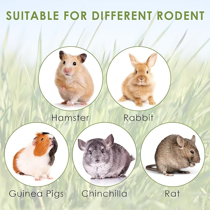 ERKOON 24Pcs Bunny Chew Toys, Small Animal Molar Toys Timothy Grass Beet Sweet Potato Pumpkin Cake Treats for Guinea Pig Hamster Bunny Chinchilla Gerbil, 100% Natural Rabbit Chews and Treats-PawvioPets