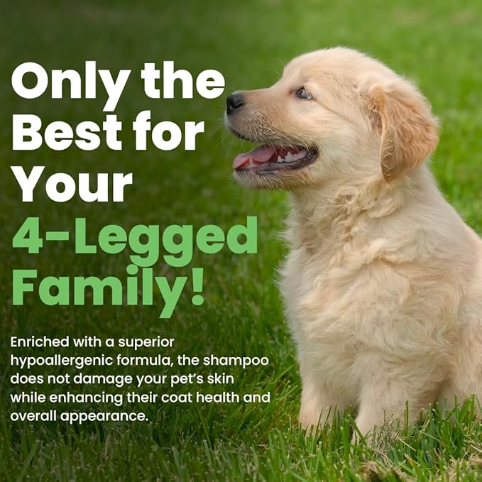 Best Shot Scentament Spa Seasonal Body and Facial Wash, Tearless Shampoo, Hypoallergenic Body Wash, Removes Tear Stains, Hot Toddy, 16 Oz.-PawvioPets