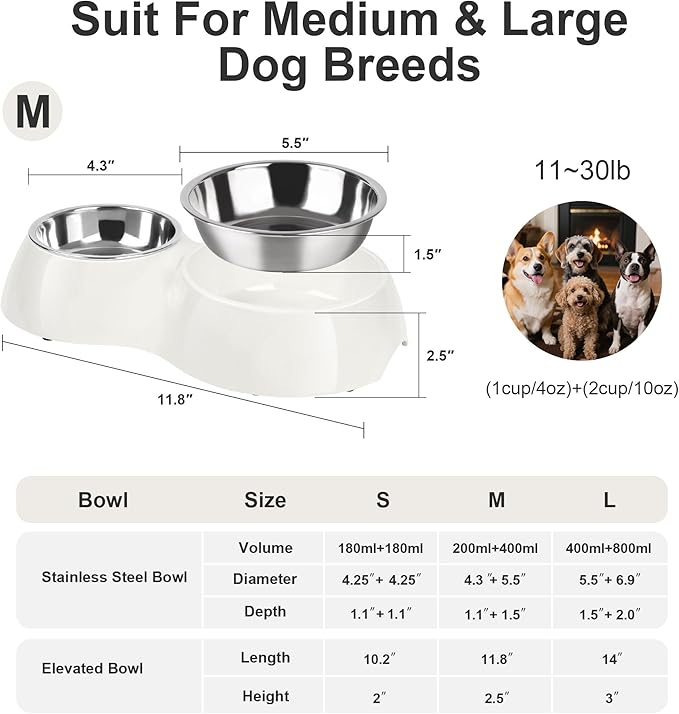 Double Dog Bowls Set – Non-Slip Pet Food & Water Dishes with Resin Stand, Includes Small (1 Cup) & Medium (2 Cups) Bowls – Ideal for Puppies, Cats, and Medium Dogs – White-PawvioPets