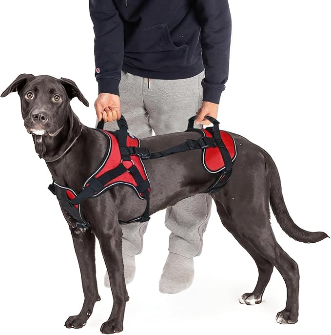 Doggie Stylz Multi-Functional Full-Body Lifting Dog Harness Vest, Designed for Front-Only, Rear-Only or Full-Body Lifting. Please Measure Your Dog Before Ordering.-PawvioPets