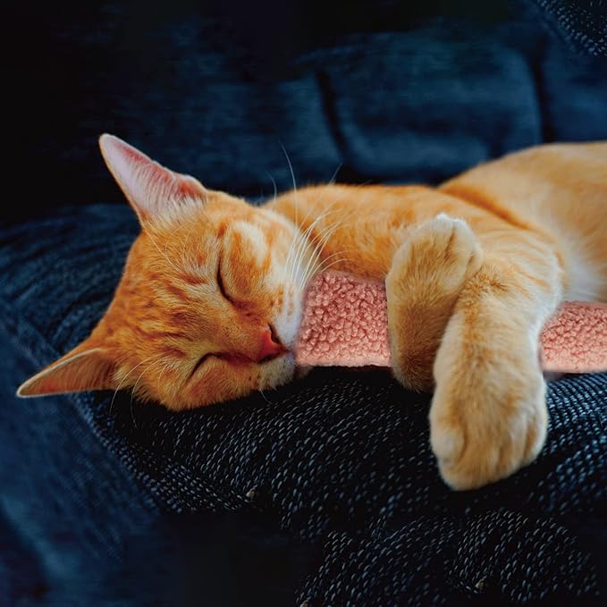 2 Pack Natural Interactive Catnip & Silvervine Cat Kicker with Tail, Bite Resistant Chew Toy, Crinkle Kicker, Accessories for Indoor Cat, Sherpa Material-PawvioPets