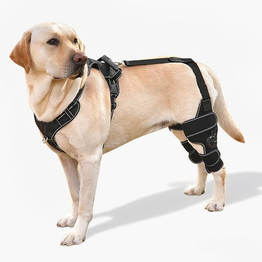 Dog Knee Brace with Adjustable Support – ACL & CCL Tear Recovery, Post-Surgery Stabilization, Mobility Aid for Rear Legs – Includes Secure Chest Harness for Dogs(Both Legs,L)-PawvioPets