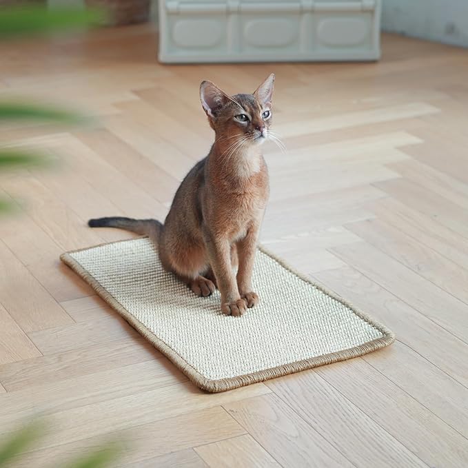 FUKUMARU Cat Scratcher Mat, 19.6 X 11.8 Inch Natural Sisal Cat Scratch Mats, Horizontal Cat Floor Scratching Pad Rug, Protect Carpets and Sofas - Beige-PawvioPets