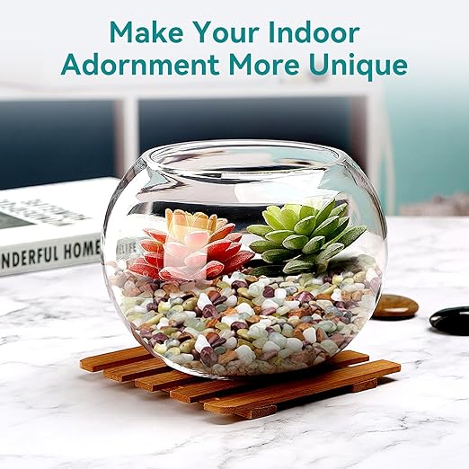 2.5lbs Pebbles for Indoor Plants, 3/8 Inch Small Rocks for Potted Plants, Succulents, Vase Fillers, Cactus Planters, Bird Bath, Fountain, Outdoor Garden Landscaping-PawvioPets