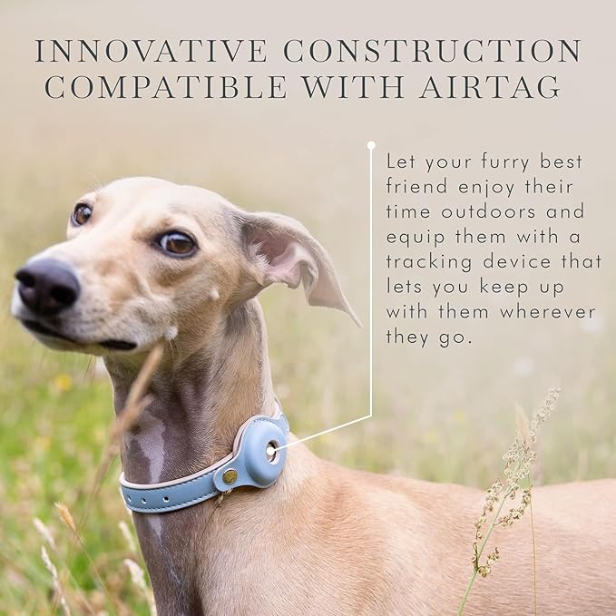 Cupertino Dog Collars, Harnesses & Leashes Made from Vegan Leather with Dog Tracker Device Holder Adjustable Dog Collar - Color Blue, Medium-PawvioPets