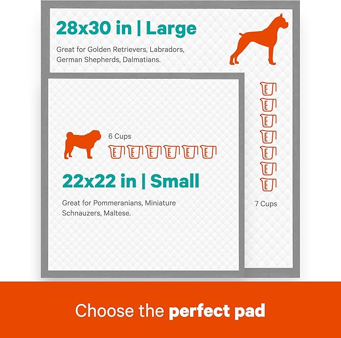 AS62930 Dog Training Pads, Pack of 100, Gray, 22" x 22" - Pack of 100-PawvioPets