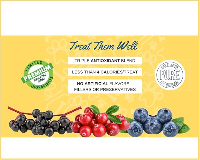 Bench & Field Holistic Natural Turkey & Triple Berry Dog Treats | Crunchy Bone-Shaped Bites | Antioxidant Blend, 10-Ounce Bottle-PawvioPets