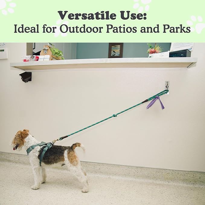 Canine Hitch- Secure Dog Leash Parking Indoor- Outdoor Wall Hook with Clip - Tie Out Stainless Steel - Practical Lead Management for Home & Business-PawvioPets