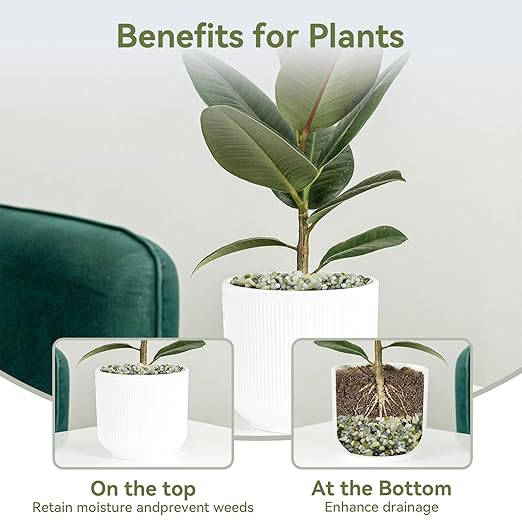 5LB Succulent and Cactus Pebbles, 1/5 Inch Jade Pebbles for Indoor Plants, Decorative Gravel for Vases, Bamboo, Succulent, Terrarium, Crafts, Cactus-PawvioPets