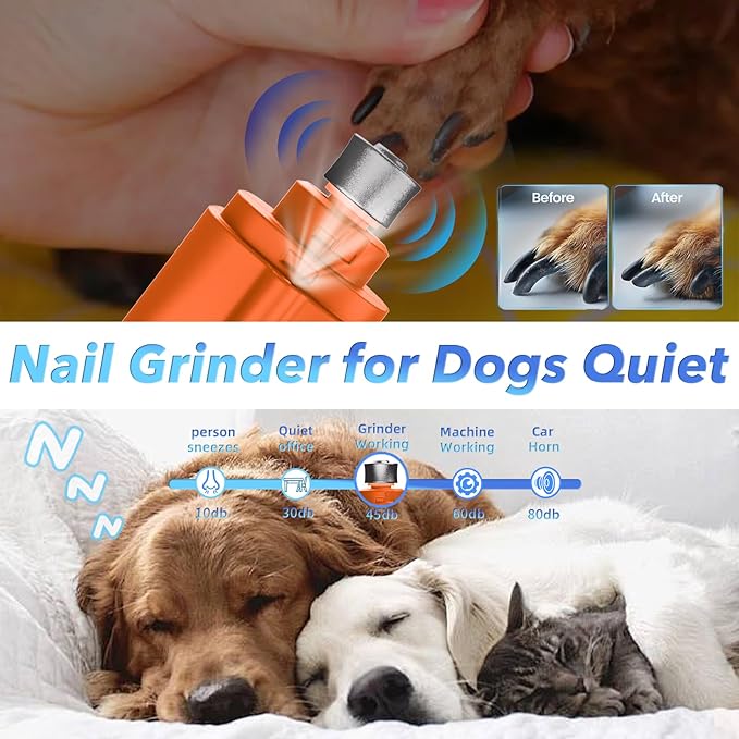 2 in 1 Dog Nail Clippers and Grinder with Lights & Cat Nail Clipper for Large Medium Small Dogs Cats Nail Trimmers USB Rechargeable with 2 LED Lights Dog Claw Care for Non-Black Nails-PawvioPets